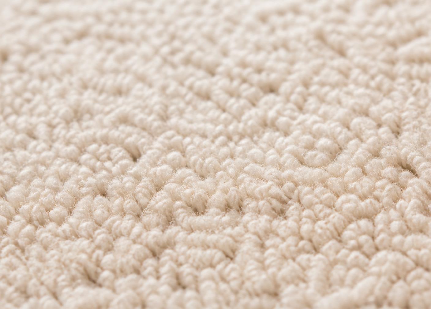 Carpet Cleaning